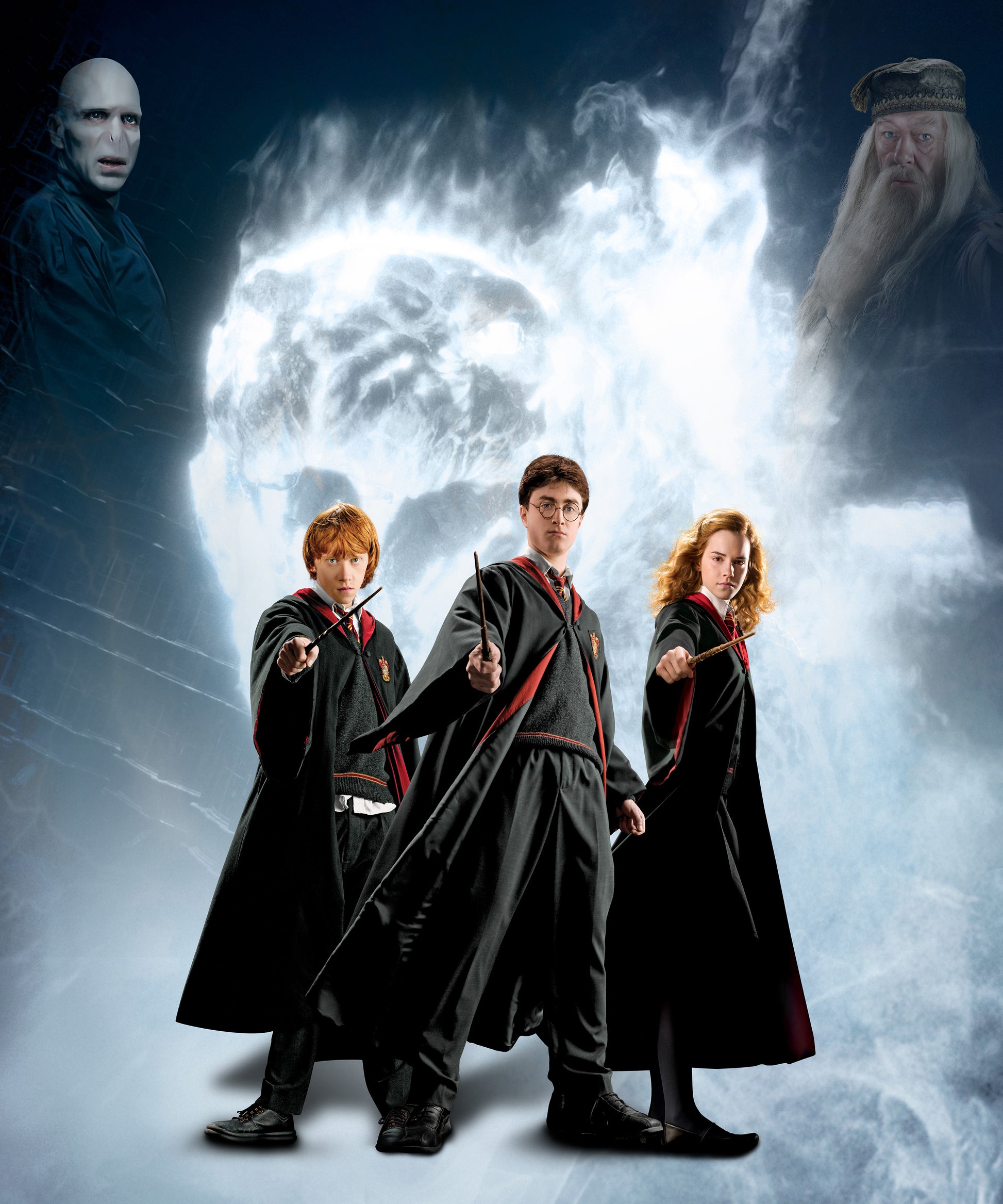 Harry Potter Golden Trio Bedsheet with 2 Pillow Covers