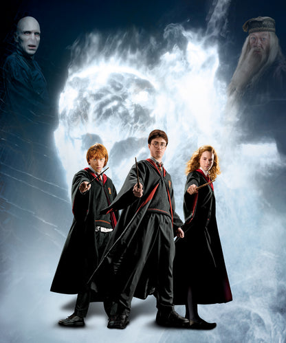 Harry Potter Golden Trio Bedsheet with 2 Pillow Covers