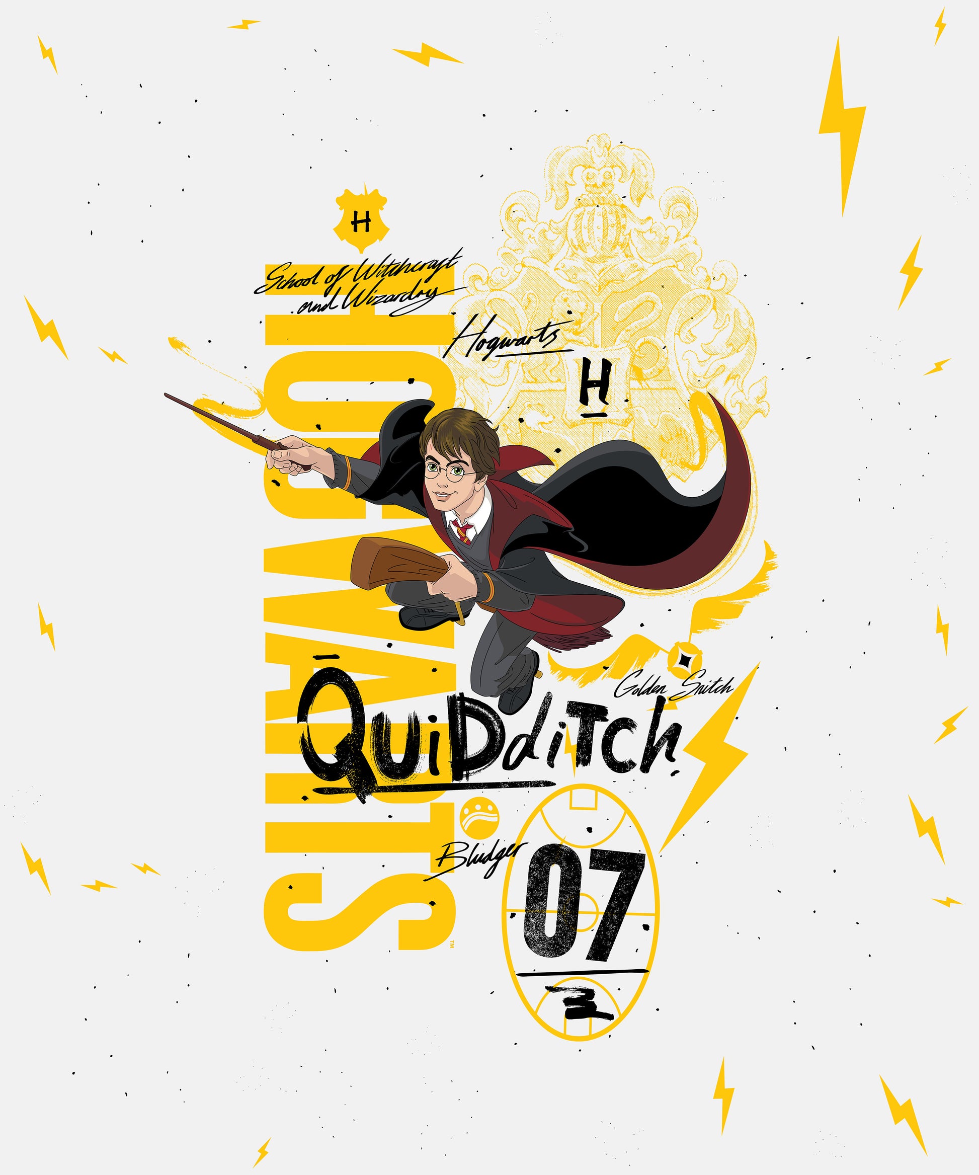 Harry Potter Quidditch Champion Bedsheet with 2 Pillow Covers