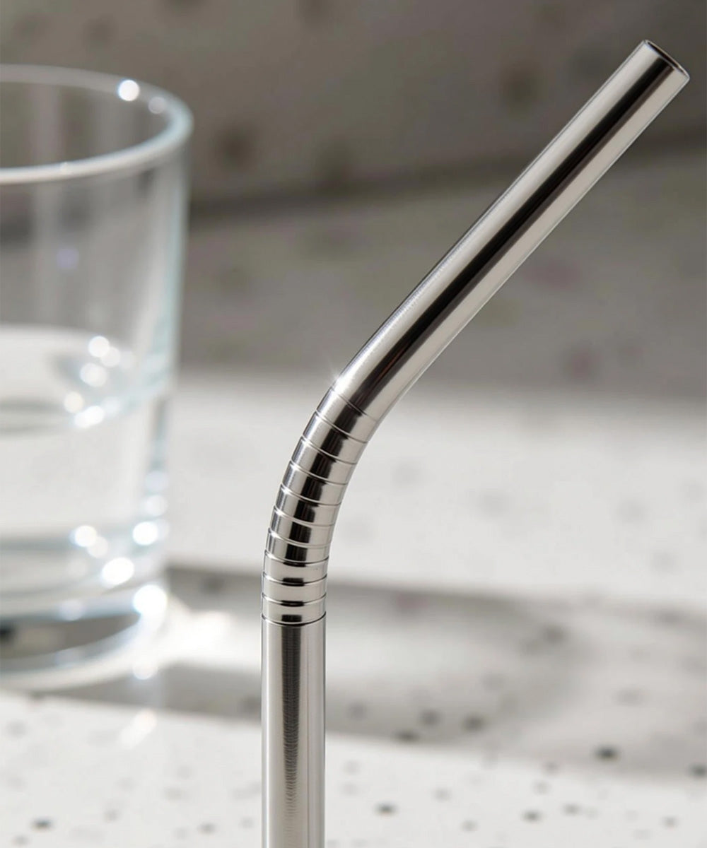 Reusable Stainless Steel Straws with Cleaning Brush (2 Straws + 1 Brush)