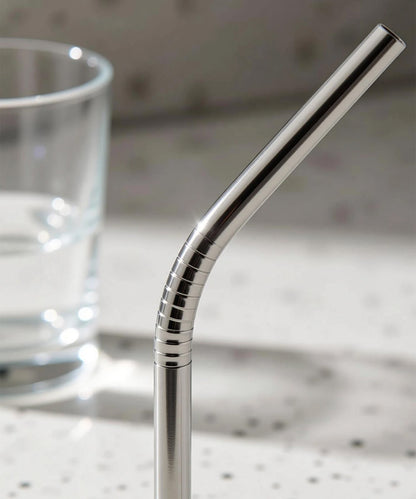 Reusable Stainless Steel Straws with Cleaning Brush (2 Straws + 1 Brush)