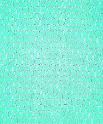 Hexa Bliss King Size Bedsheet With 2 Pillow Cover