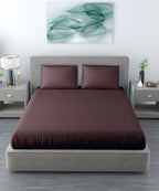 Brown Queen Fitted Bedsheet With 2 Pillow Covers